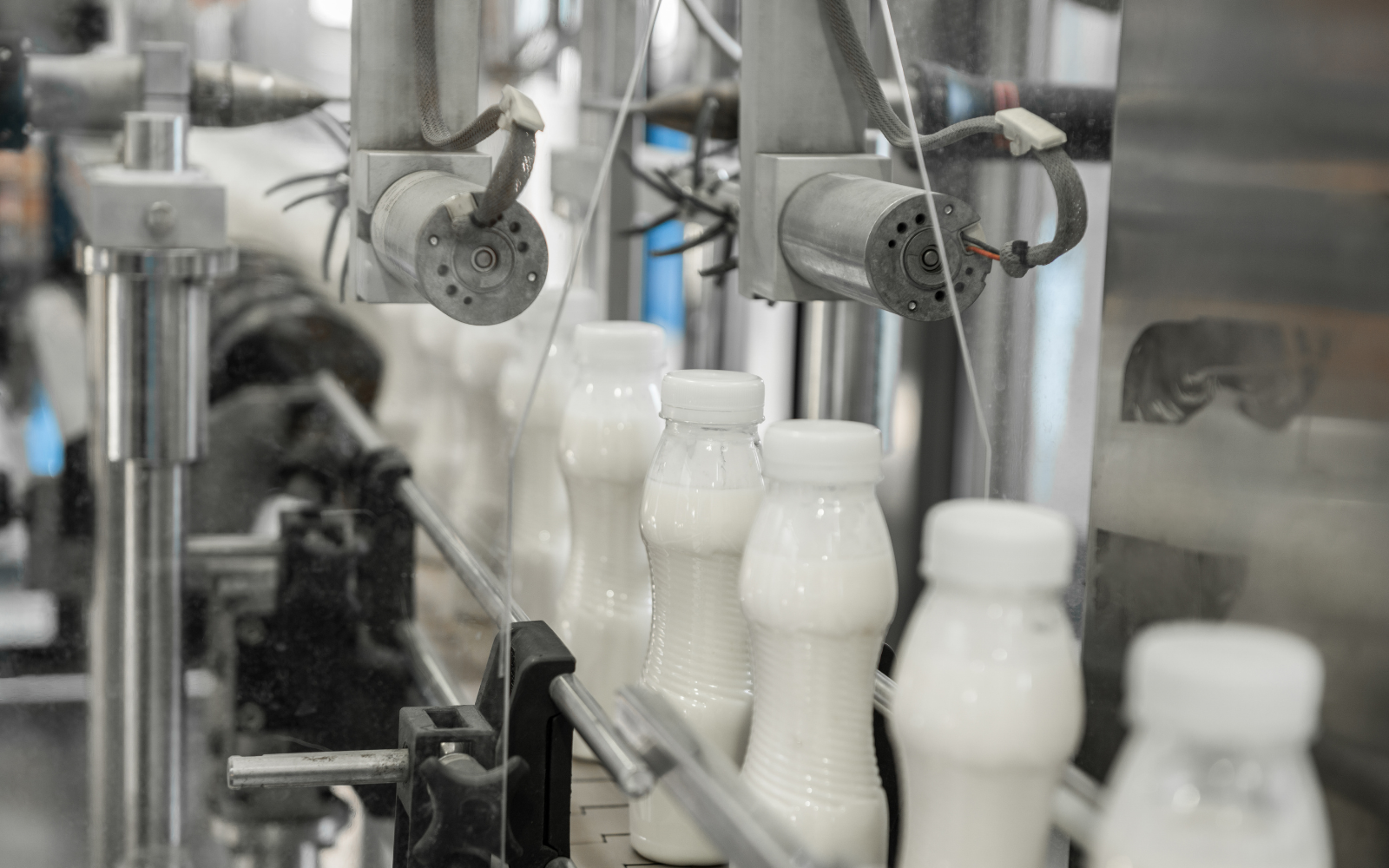 Eficiência e qualidade: o diferencial competitivo que sustenta o futuro dos laticínios - Cia do Leite - Transformamos qualidade do leite e produtividade das fazendas